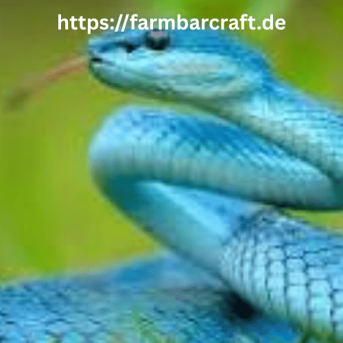 Wildlife Officials Urge Public to Report Rainbow Snake Sightings